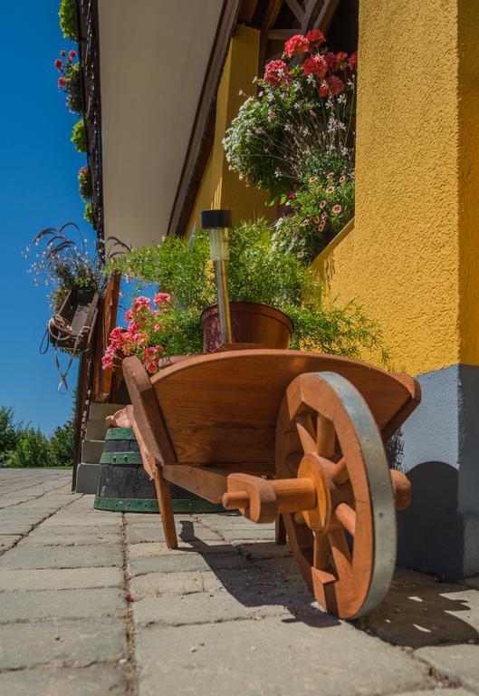 Panorama B&B Ptuj Exterior photo